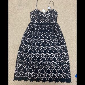 Club Monaco NWT lace evening dress